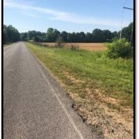 90 Acres in Lafayette County in Thaxton  MS images 4