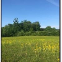 90 Acres in Lafayette County in Thaxton  MS images 5