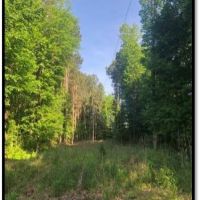 90 Acres in Lafayette County in Thaxton  MS images 6