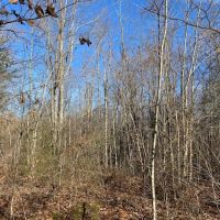 39  acres Unrestricted Usable Property images 2