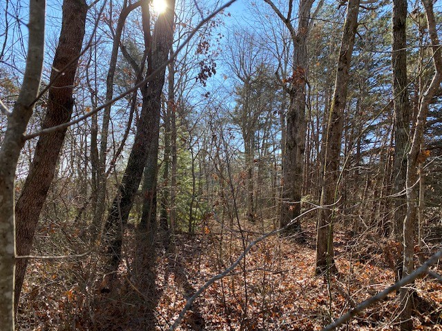 39  acres Unrestricted Usable Property featured image