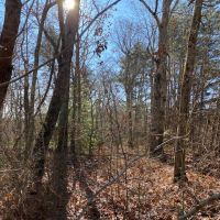 39  acres Unrestricted Usable Property