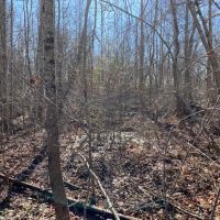 39  acres Unrestricted Usable Property images 3