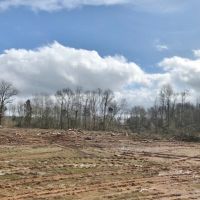 86 acres Hunting and Timberland Property in Pike County  MS images 2