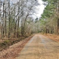 86 acres Hunting and Timberland Property in Pike County  MS images 3