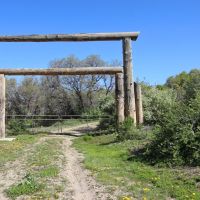 Hunting Ranch with Cabin For Sale in Dolores County  CO images 3
