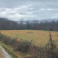 550  -acres Unrestricted with Pasture  Hardwoods and Beautiful Mountain Views images 6