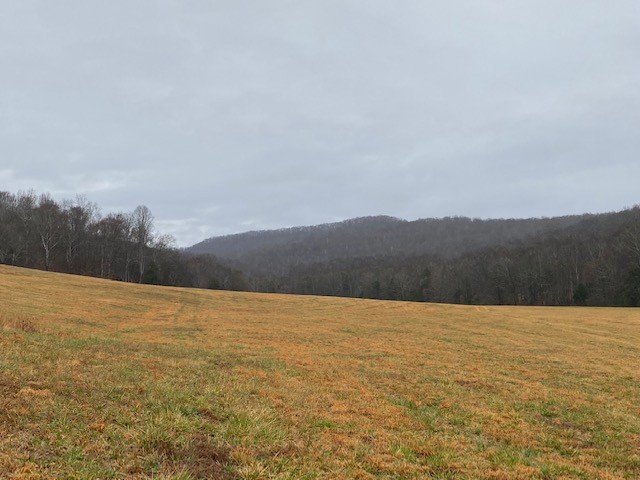 550  -acres Unrestricted with Pasture  Hardwoods and Beautiful Mountain Views featured image