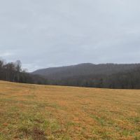 550  -acres Unrestricted with Pasture  Hardwoods and Beautiful Mountain Views