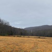 550  -acres Unrestricted with Pasture  Hardwoods and Beautiful Mountain Views images 5