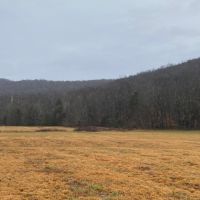 550  -acres Unrestricted with Pasture  Hardwoods and Beautiful Mountain Views images 2