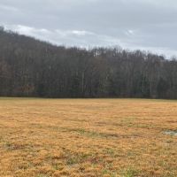 550  -acres Unrestricted with Pasture  Hardwoods and Beautiful Mountain Views images 3