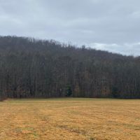 550  -acres Unrestricted with Pasture  Hardwoods and Beautiful Mountain Views images 4
