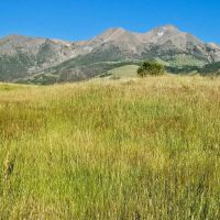 Six Mile Creek Ranch images 3
