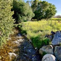 Six Mile Creek Ranch images 4