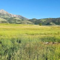 Six Mile Creek Ranch images 5