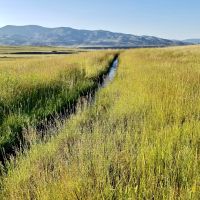 Six Mile Creek Ranch images 6
