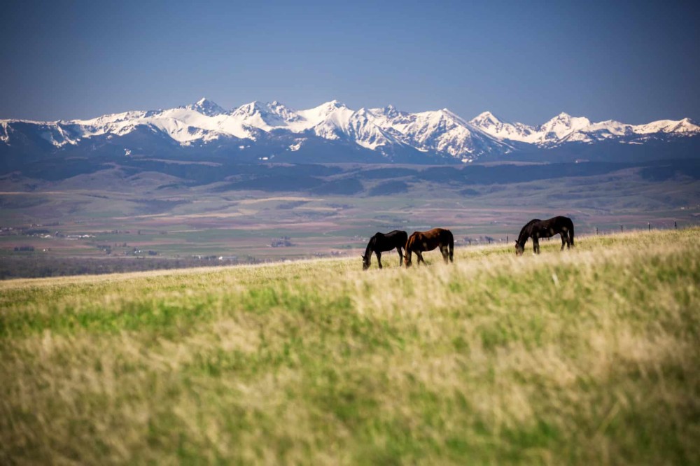 Bridger Plateau Ranch featured image