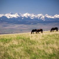 Bridger Plateau Ranch