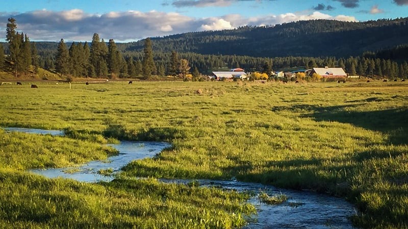 Bear Creek Valley Ranch featured image
