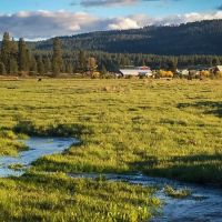 Bear Creek Valley Ranch