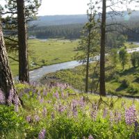 Bear Creek Valley Ranch images 2