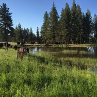 Bear Creek Valley Ranch images 3