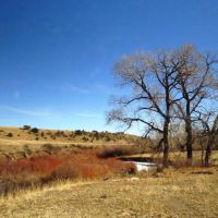 60 Acre River Property Weston Colorado images 4