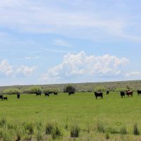 Obendorf Ranch images 2