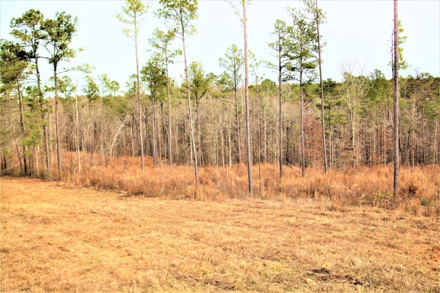 Great Homesite with Power Access featured image