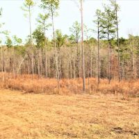 Great Homesite with Power Access