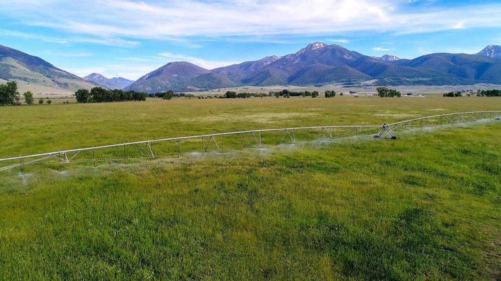 Paradise Valley Farm featured image