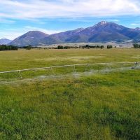 Paradise Valley Farm