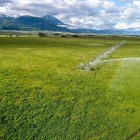 Paradise Valley Farm images 4