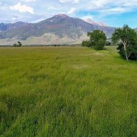 Paradise Valley Farm images 5