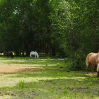 Sportsman River Farm images 3