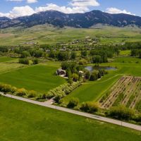 Whitetail Farm