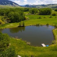 Whitetail Farm images 2