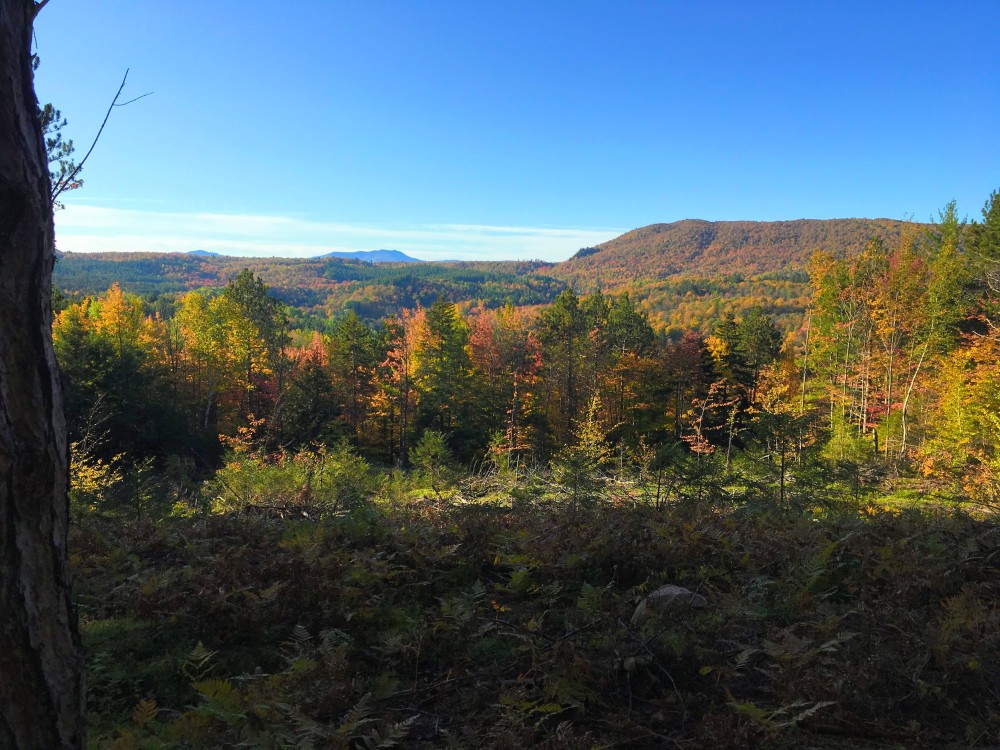 10 acres Adirondack Mountain Land Malone NY featured image