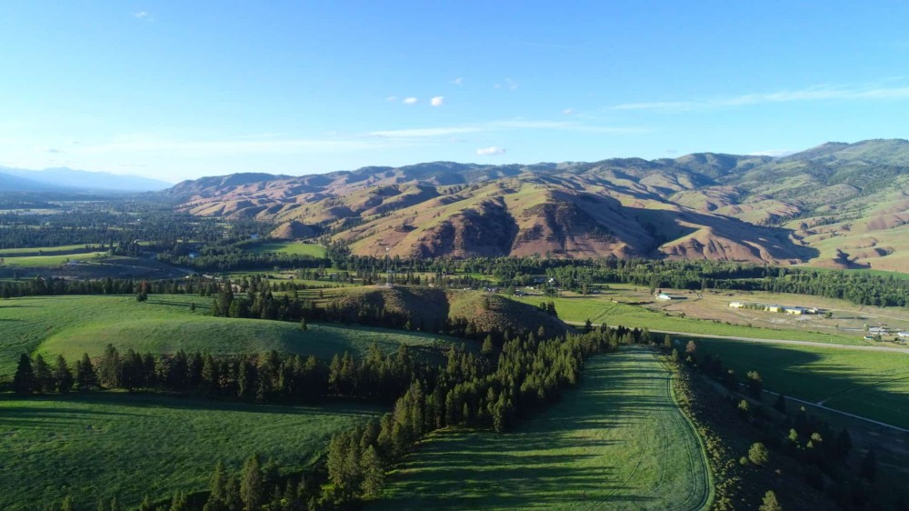 Trapper View Ranch featured image