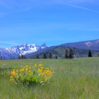 Trapper View Ranch images 3