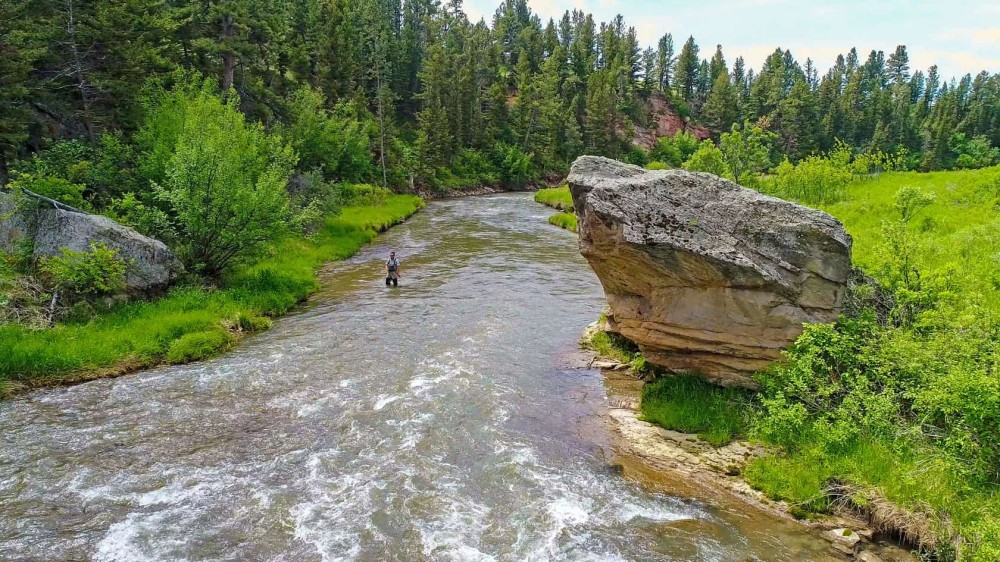 Big Spring Sporting Ranch featured image