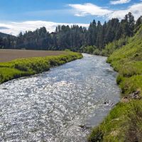 Big Spring Sporting Ranch images 2