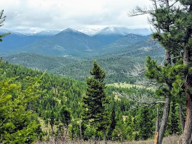 Wolf Creek Mountain Ranch featured image
