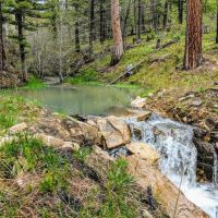 Wolf Creek Mountain Ranch images 2