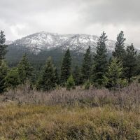 Wolf Creek Mountain Ranch images 5
