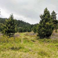 Wolf Creek Mountain Ranch images 6