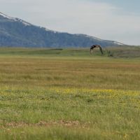 Mountain View Ranch images 3
