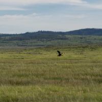 Mountain View Ranch images 4