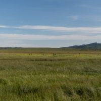 Mountain View Ranch images 5